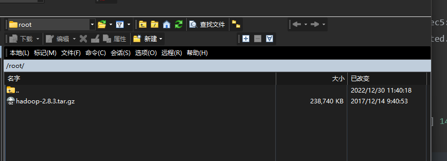 image-20221231135948082
